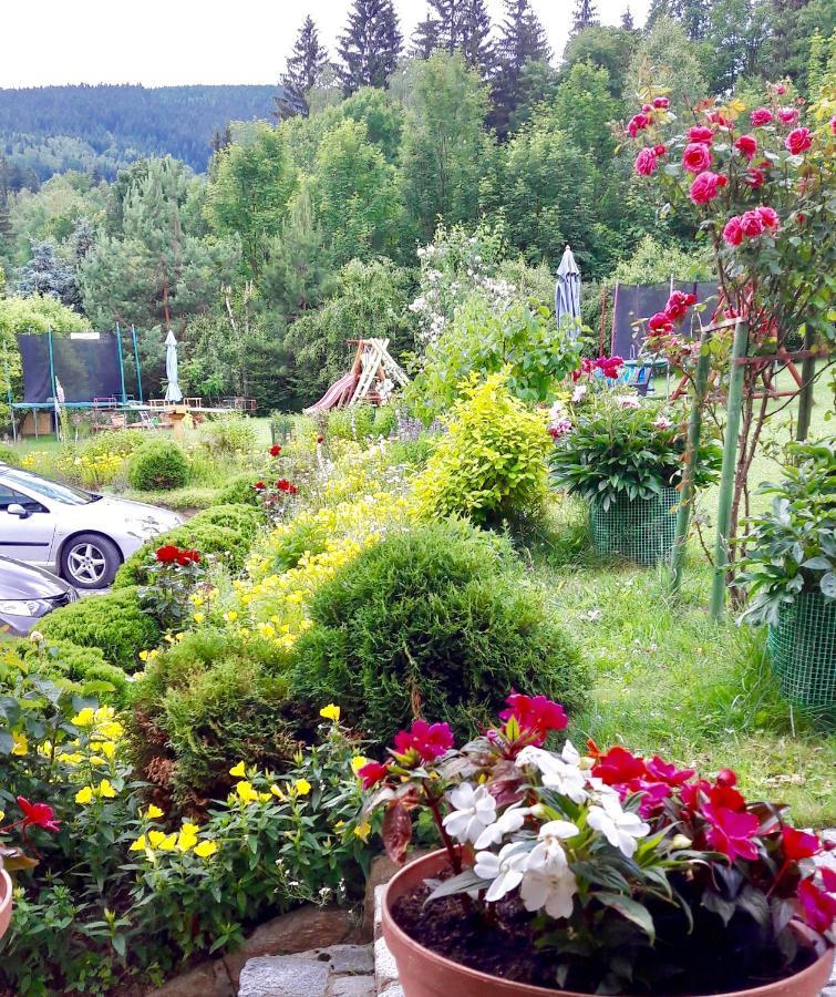 Apartamenty Dom Na Wzgorzu Gardenia Stronie Slaskie Ngoại thất bức ảnh